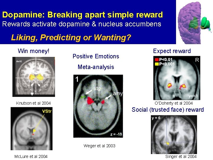 Dopamine: Breaking apart simple reward Rewards activate dopamine & nucleus accumbens Liking, Predicting or