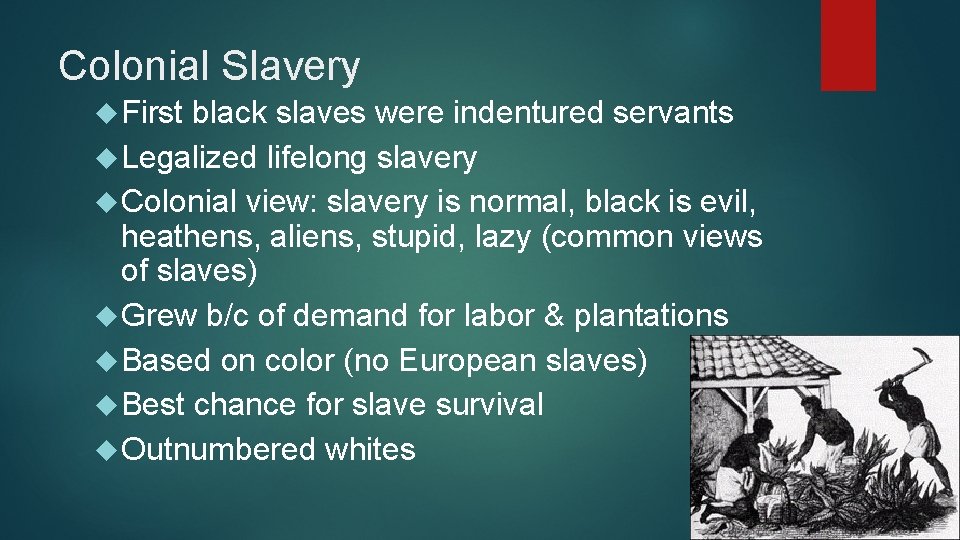 Society and Economy in the Southern Colonies Objective