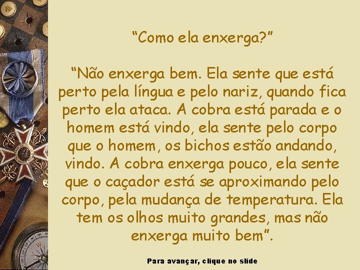 “Como ela enxerga? ” “Não enxerga bem. Ela sente que está perto pela língua