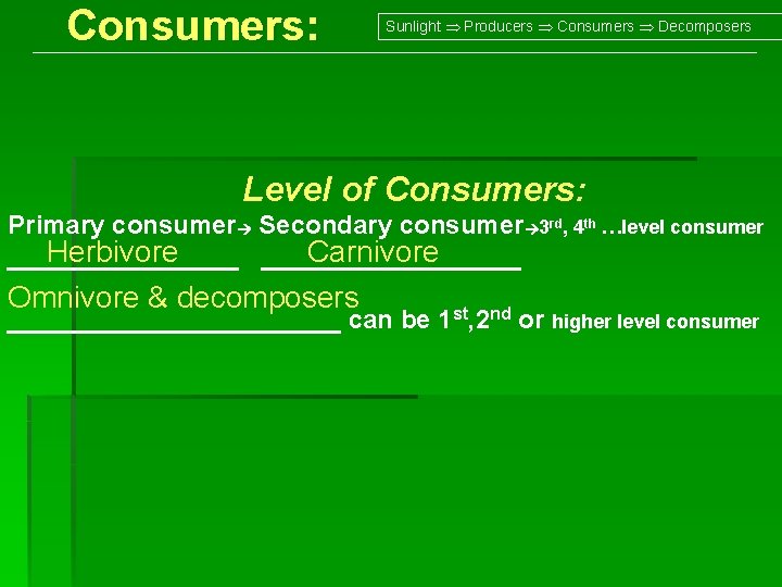 Consumers: Sunlight Producers Consumers Decomposers Level of Consumers: Primary consumer Secondary consumer 3 rd,