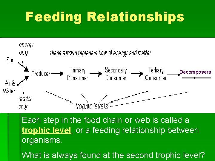 Feeding Relationships Decomposers 1 st 2 nd 3 rd 4 th 5 th Each Feeding Relationships Decomposers 1 st 2 nd 3 rd 4 th 5 th Each