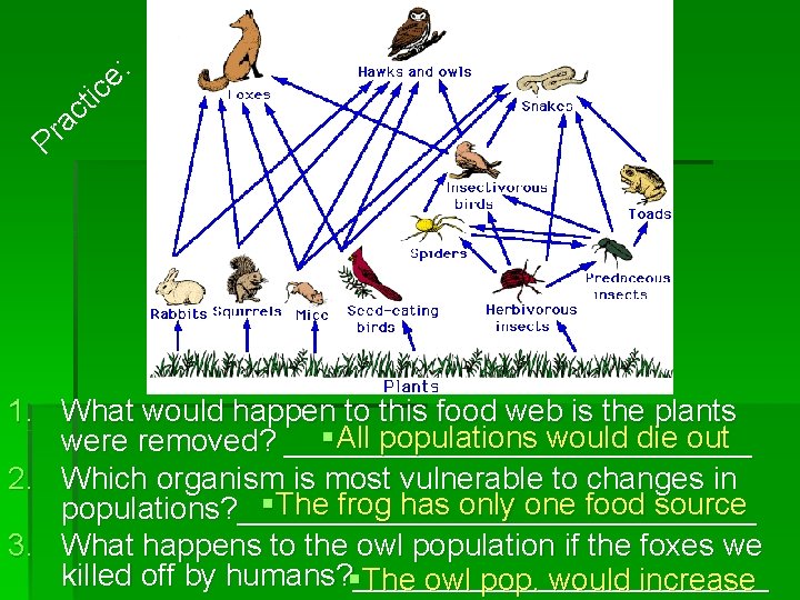 : e ic t ac Pr 1. What would happen to this food web : e ic t ac Pr 1. What would happen to this food web