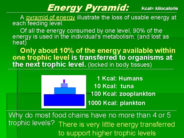 Energy Pyramid: Kcal= kilocalorie A pyramid of energy illustrate the loss of usable energy