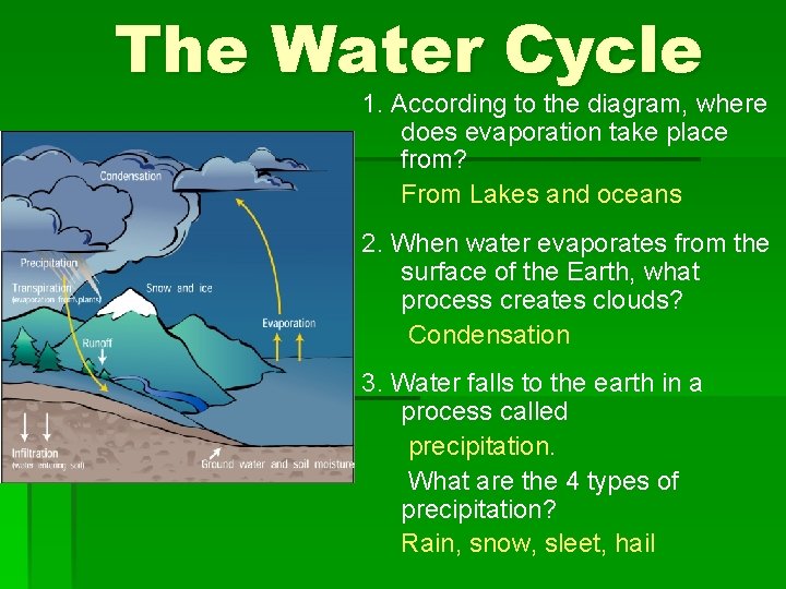 The Water Cycle 1. According to the diagram, where does evaporation take place from?