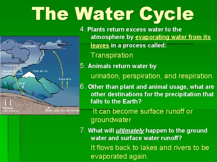 The Water Cycle 4. Plants return excess water to the atmosphere by evaporating water The Water Cycle 4. Plants return excess water to the atmosphere by evaporating water