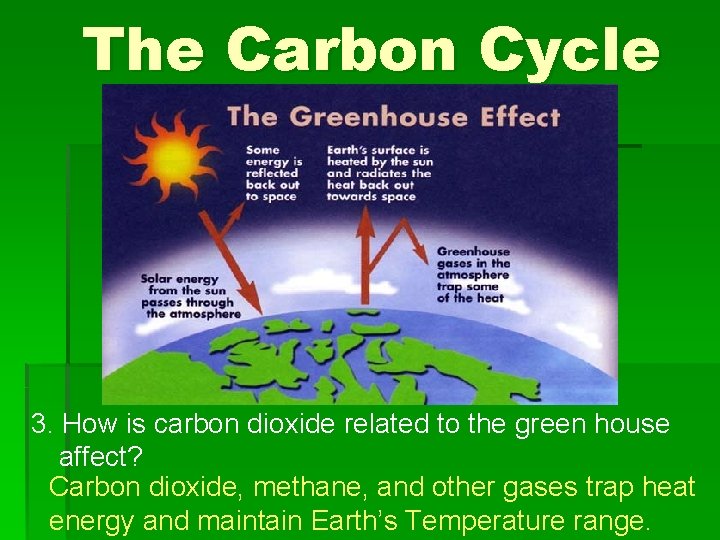The Carbon Cycle 3. How is carbon dioxide related to the green house affect?