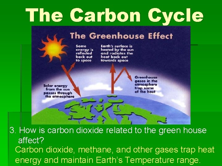 The Carbon Cycle 3. How is carbon dioxide related to the green house affect? The Carbon Cycle 3. How is carbon dioxide related to the green house affect?