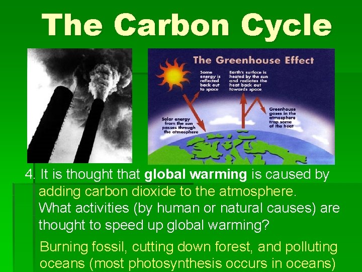 The Carbon Cycle 4. It is thought that global warming is caused by adding The Carbon Cycle 4. It is thought that global warming is caused by adding