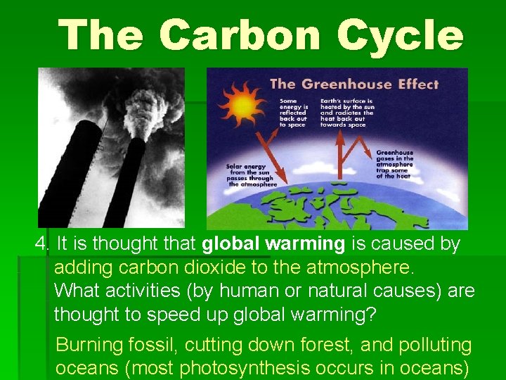 The Carbon Cycle 4. It is thought that global warming is caused by adding