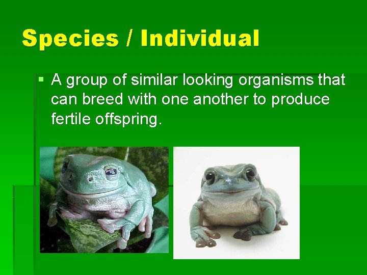 Species / Individual § A group of similar looking organisms that can breed with