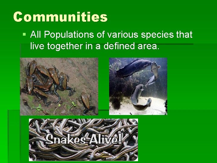 Communities § All Populations of various species that live together in a defined area.