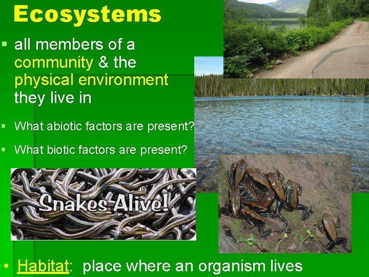 Ecosystems § all members of a community & the physical environment they live in