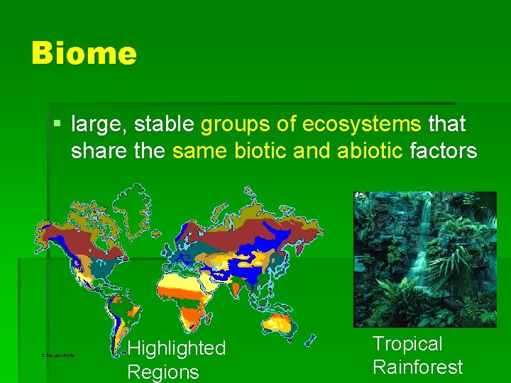 Biome § large, stable groups of ecosystems that share the same biotic and abiotic
