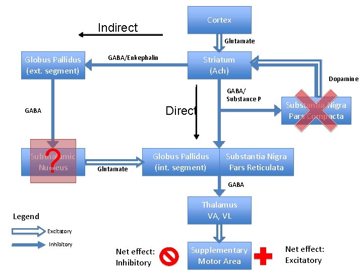 Cortex Indirect Glutamate Globus Pallidus (ext. segment) GABA/Enkephalin Striatum (Ach) GABA/ Substance P Direct