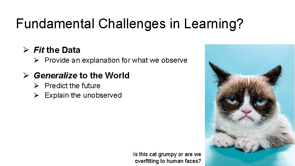 Fundamental Challenges in Learning? Ø Fit the Data Ø Provide an explanation for what Fundamental Challenges in Learning? Ø Fit the Data Ø Provide an explanation for what