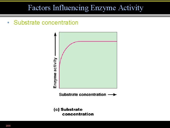 Factors Influencing Enzyme Activity • Substrate concentration 2008 Figure 5. 5 c 