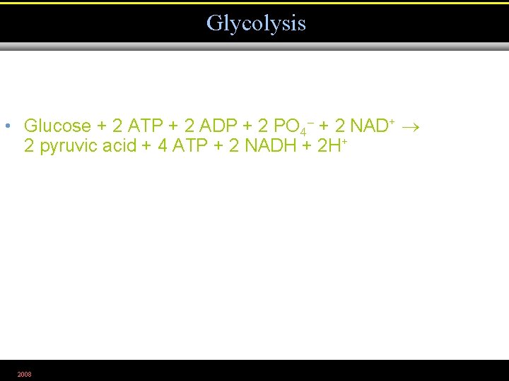 Glycolysis • Glucose + 2 ATP + 2 ADP + 2 PO 4– +