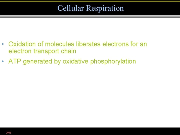 Cellular Respiration • Oxidation of molecules liberates electrons for an electron transport chain •