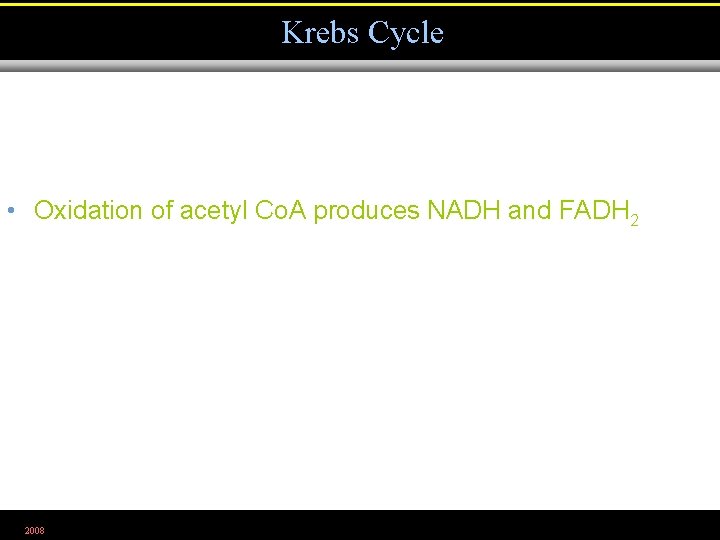 Krebs Cycle • Oxidation of acetyl Co. A produces NADH and FADH 2 2008