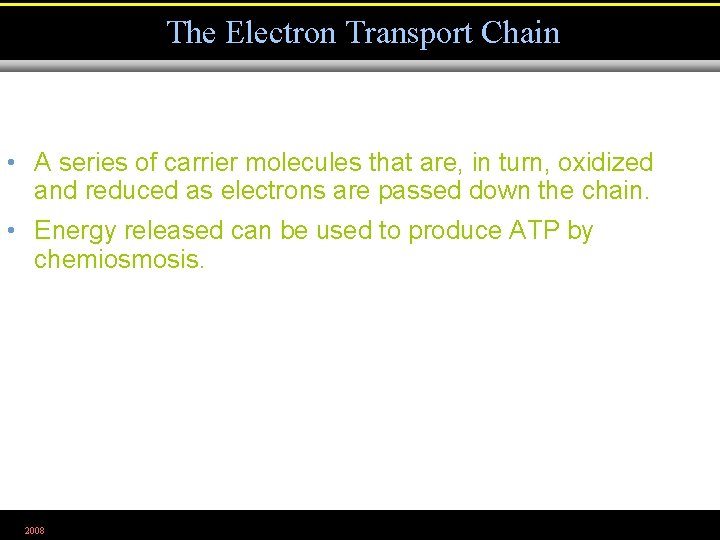 The Electron Transport Chain • A series of carrier molecules that are, in turn,