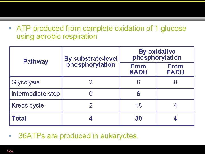  • ATP produced from complete oxidation of 1 glucose using aerobic respiration Pathway