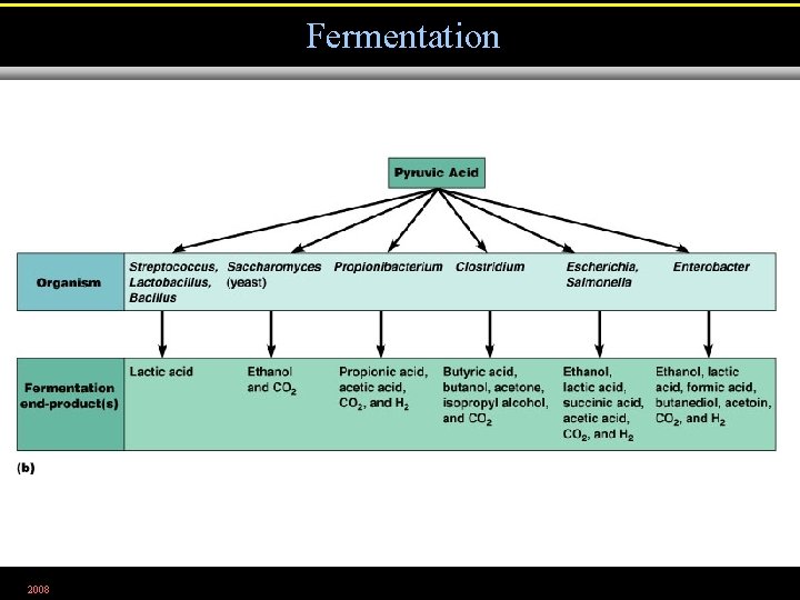 Fermentation 2008 Figure 5. 18 b 
