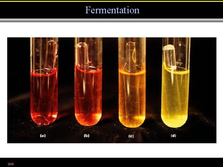 Fermentation 2008 Figure 5. 23 