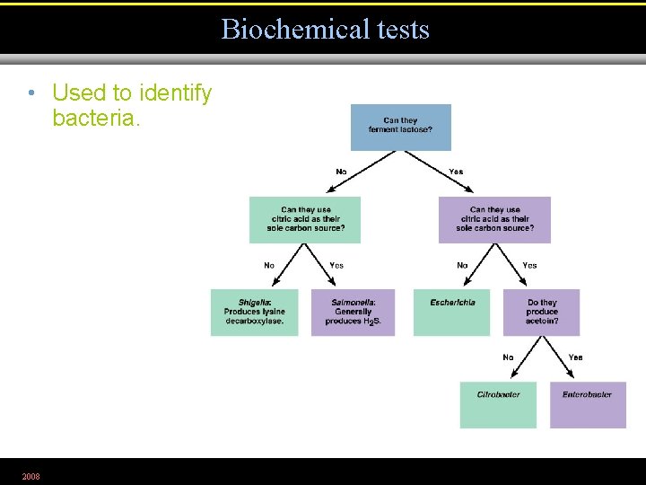 Biochemical tests • Used to identify bacteria. 2008 Figure 10. 8 