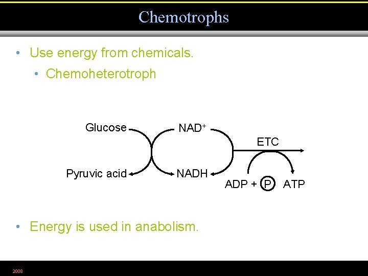 Chemotrophs • Use energy from chemicals. • Chemoheterotroph Glucose NAD+ ETC Pyruvic acid NADH