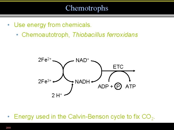 Chemotrophs • Use energy from chemicals. • Chemoautotroph, Thiobacillus ferroxidans 2 Fe 2+ NAD+