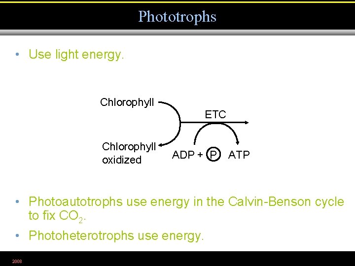 Phototrophs • Use light energy. Chlorophyll ETC Chlorophyll oxidized ADP + P ATP •