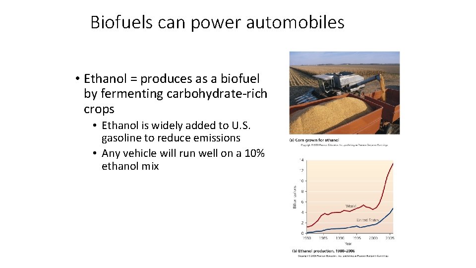 Biofuels can power automobiles • Ethanol = produces as a biofuel by fermenting carbohydrate-rich