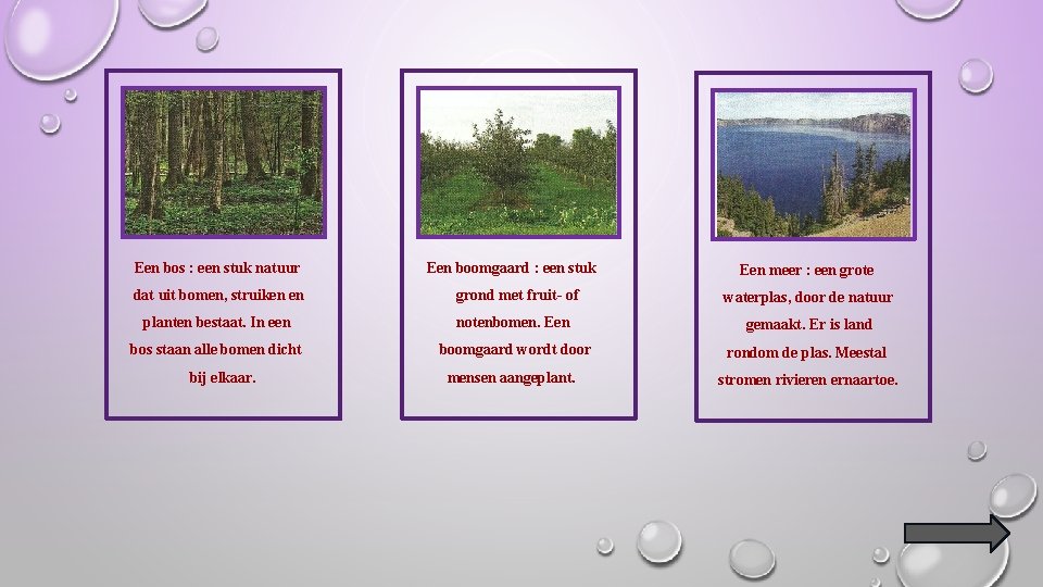 Een bos : een stuk natuur Een boomgaard : een stuk Een meer :