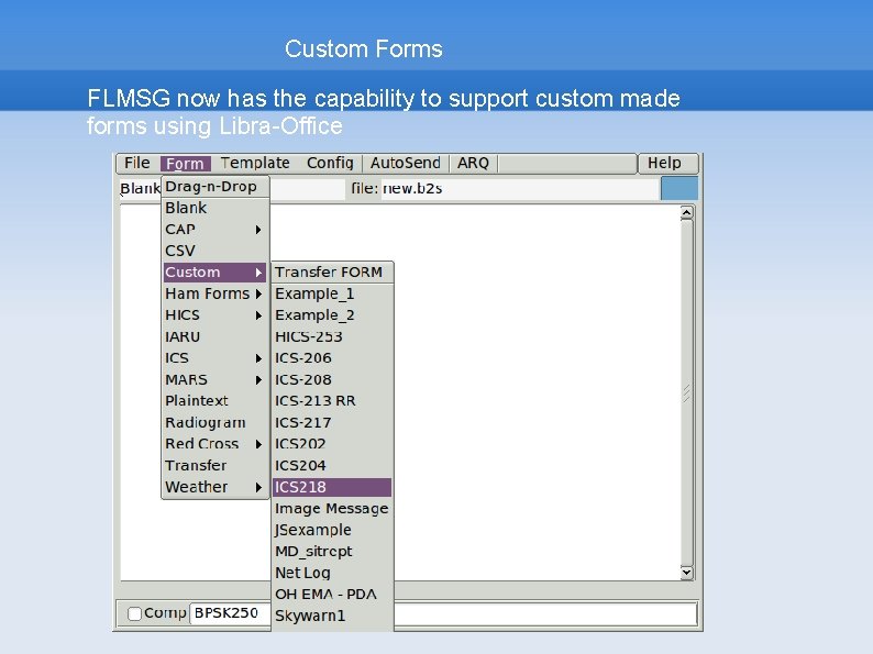 Custom Forms FLMSG now has the capability to support custom made forms using Libra-Office