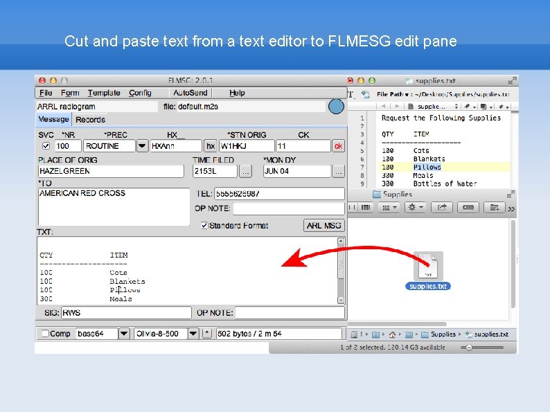 Cut and paste text from a text editor to FLMESG edit pane 