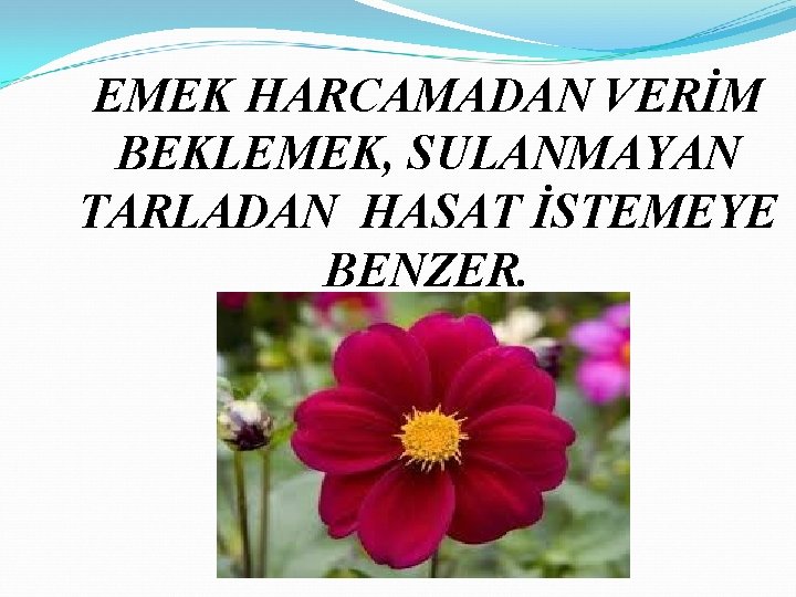 EMEK HARCAMADAN VERİM BEKLEMEK, SULANMAYAN TARLADAN HASAT İSTEMEYE BENZER. 