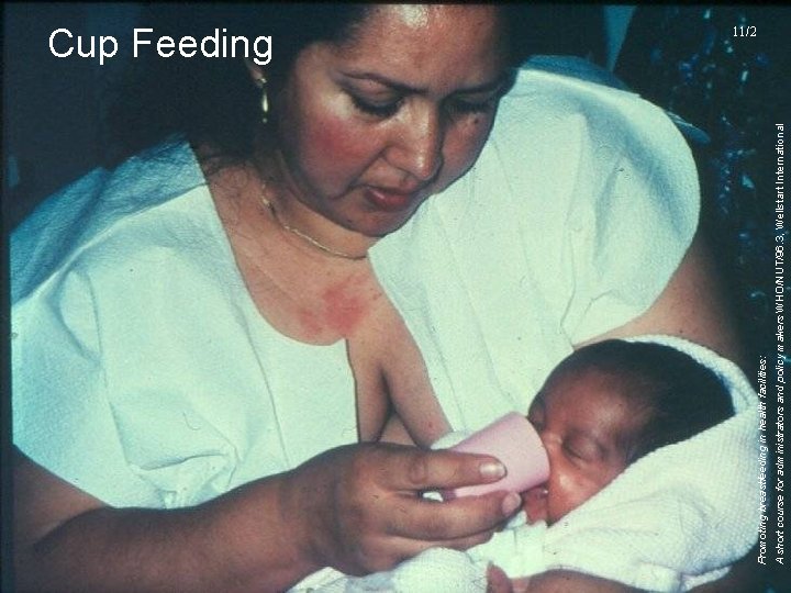 UNICEF/WHO Breastfeeding Promotion and Support in a Baby-Friendly Hospital – 20 hour Course 2006 UNICEF/WHO Breastfeeding Promotion and Support in a Baby-Friendly Hospital – 20 hour Course 2006
