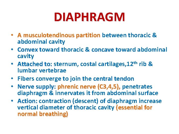 DIAPHRAGM • A musculotendinous partition between thoracic & abdominal cavity • Convex toward thoracic