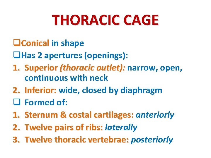 THORACIC CAGE q. Conical in shape q. Has 2 apertures (openings): 1. Superior (thoracic