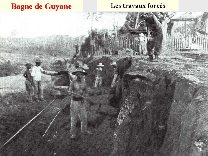 Bagne de Guyane Les travaux forcés 