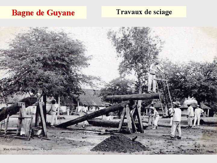 Bagne de Guyane Travaux de sciage 