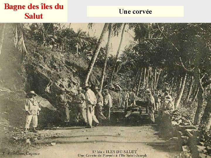 Bagne des îles du Salut Une corvée 