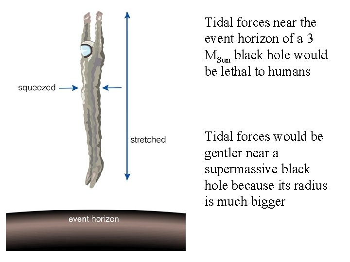 Tidal forces near the event horizon of a 3 MSun black hole would be Tidal forces near the event horizon of a 3 MSun black hole would be