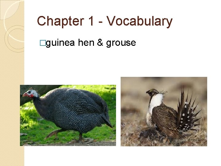 Chapter 1 - Vocabulary �guinea hen & grouse 