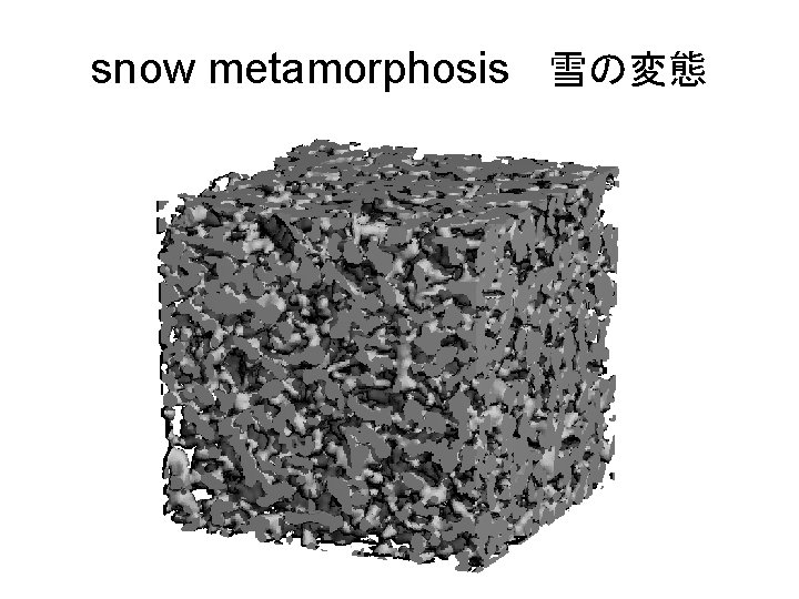 snow metamorphosis 雪の変態 