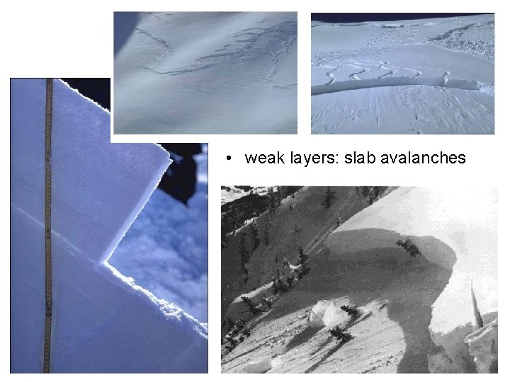  • weak layers: slab avalanches 