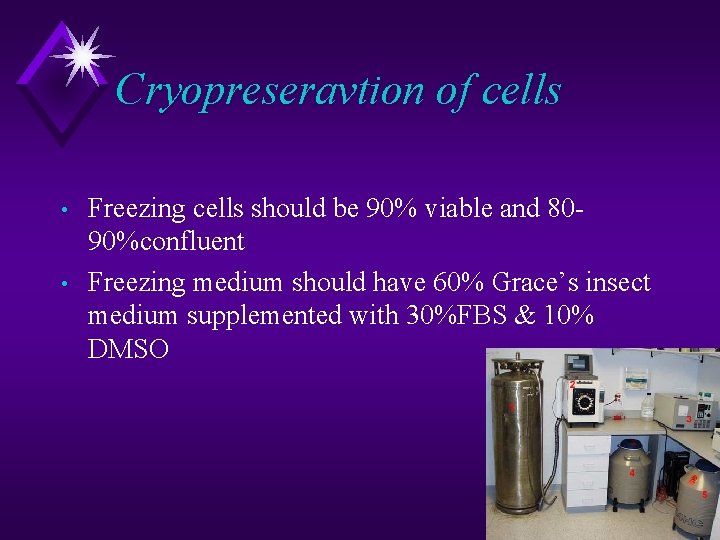 Cryopreseravtion of cells • • Freezing cells should be 90% viable and 8090%confluent Freezing