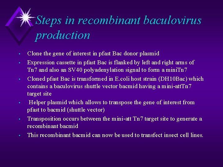 Steps in recombinant baculovirus production • • • Clone the gene of interest in