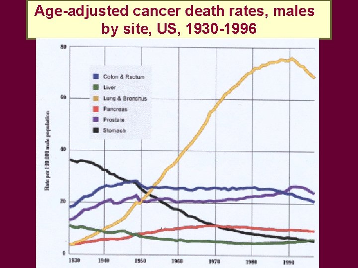 Age-adjusted cancer death rates, males by site, US, 1930 -1996 