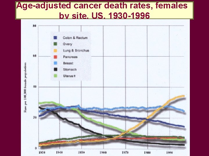 Age-adjusted cancer death rates, females by site, US, 1930 -1996 